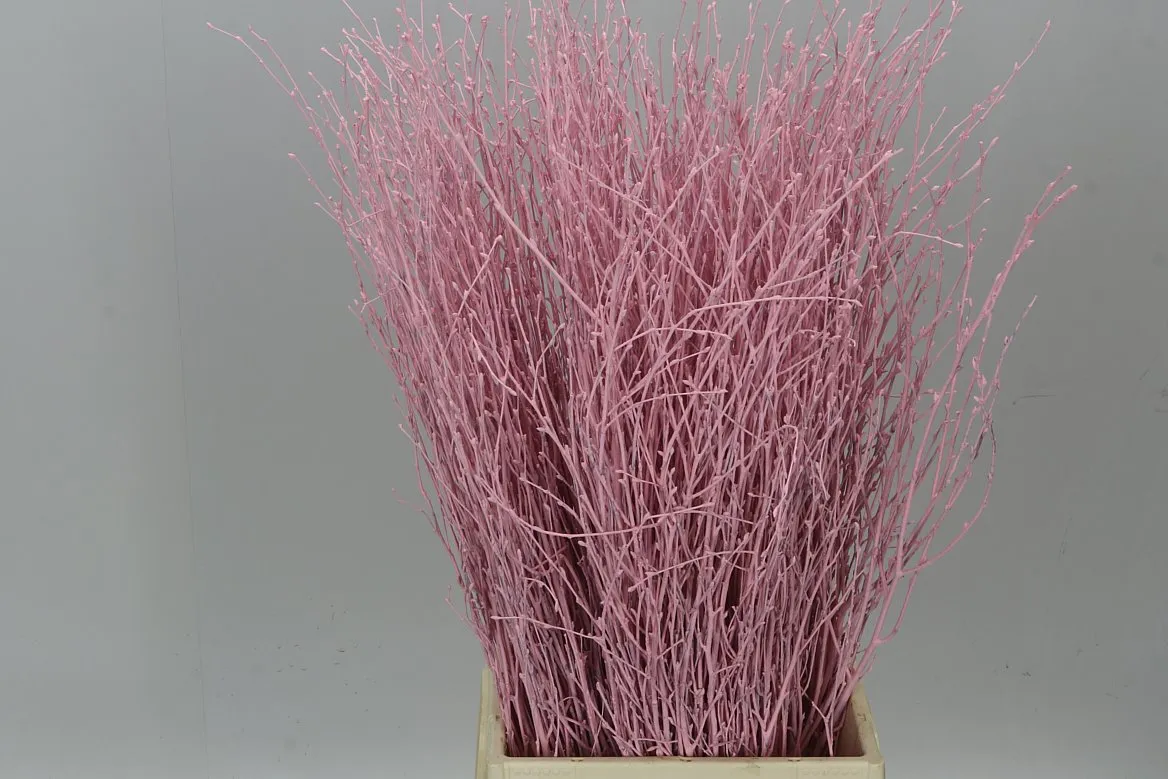 Berk Pale Pink • 70 cm