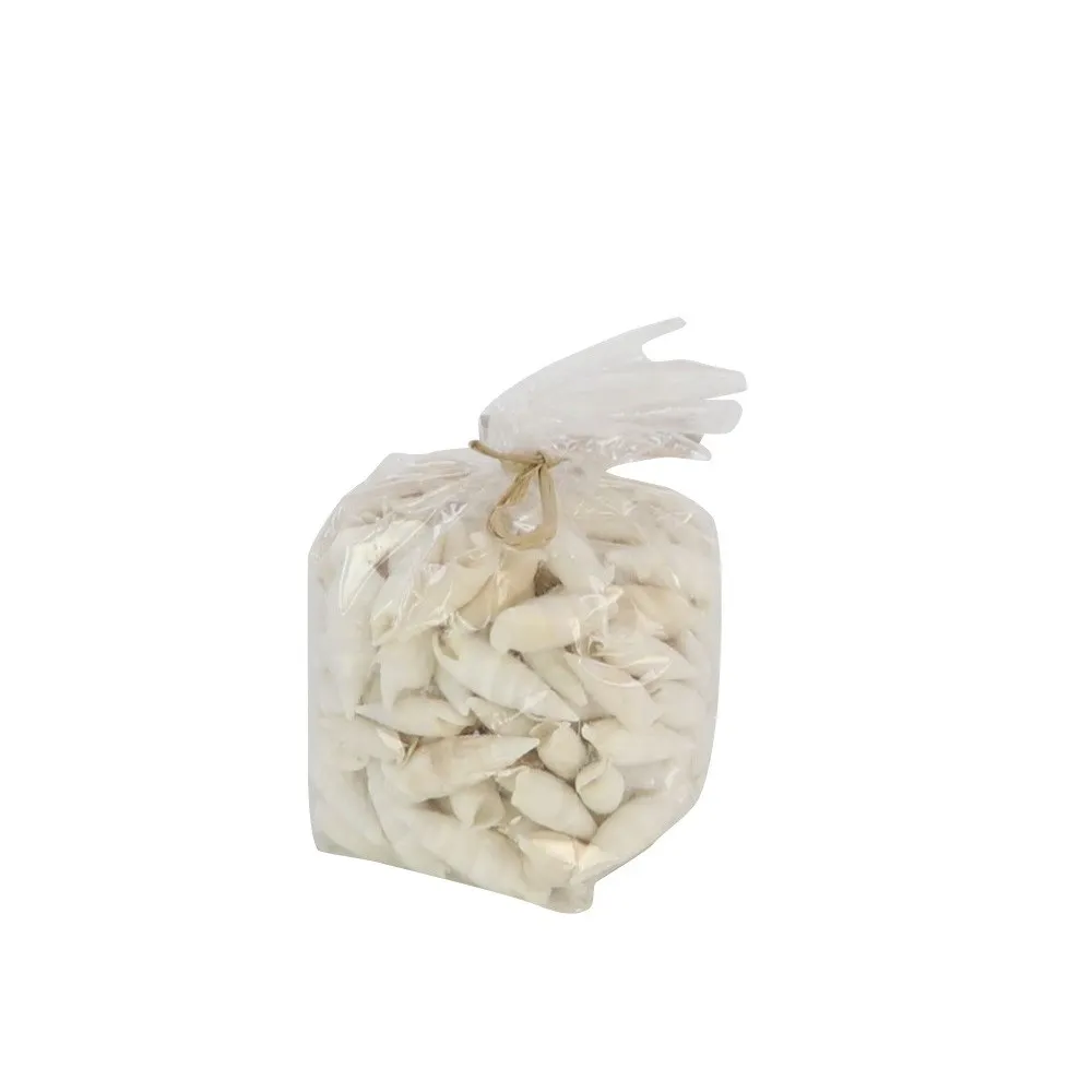 Mušle Cerithium Vertagus krémové 750 g