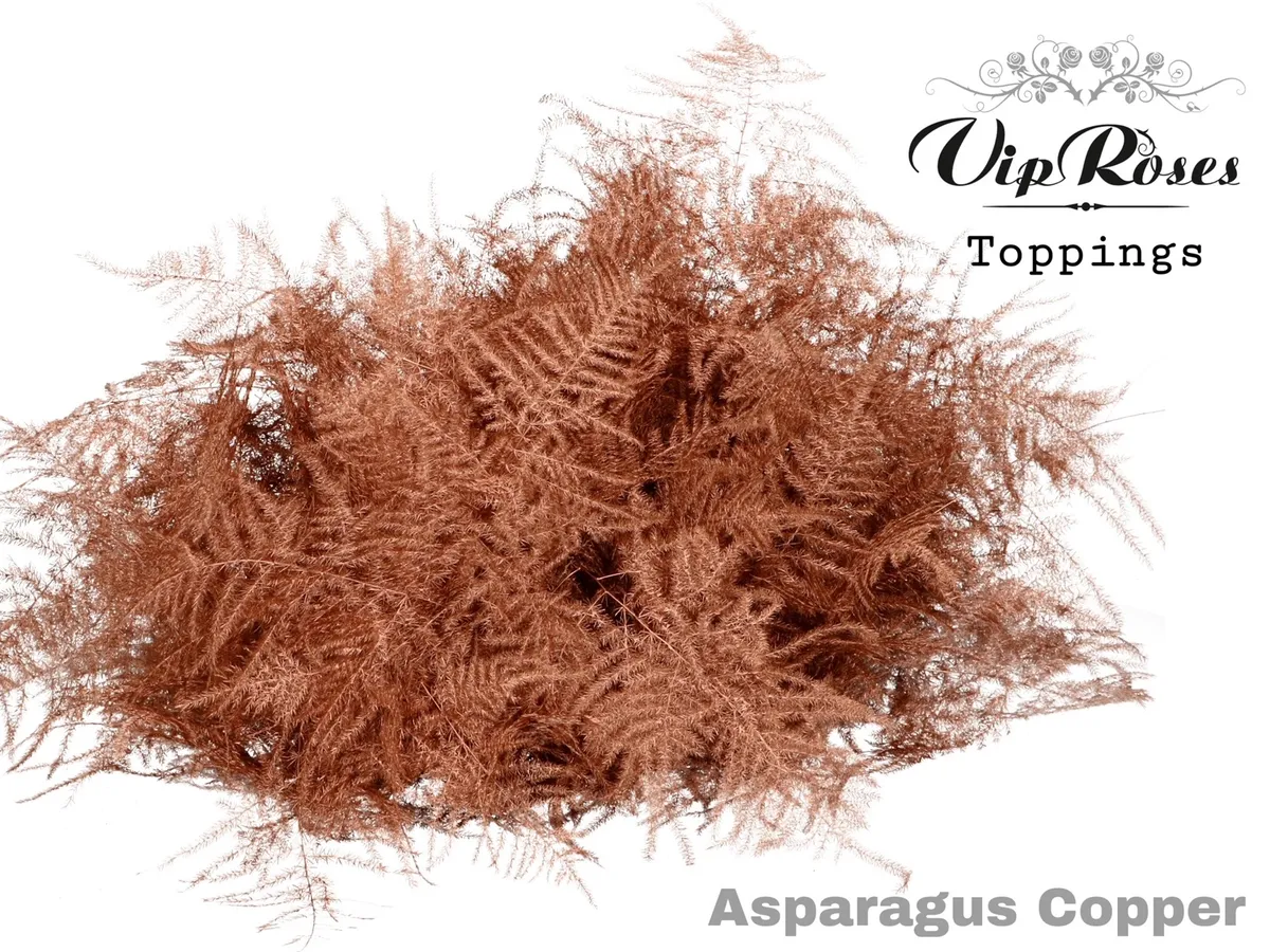 Asp Ov 1e Veren Koper • 45 cm