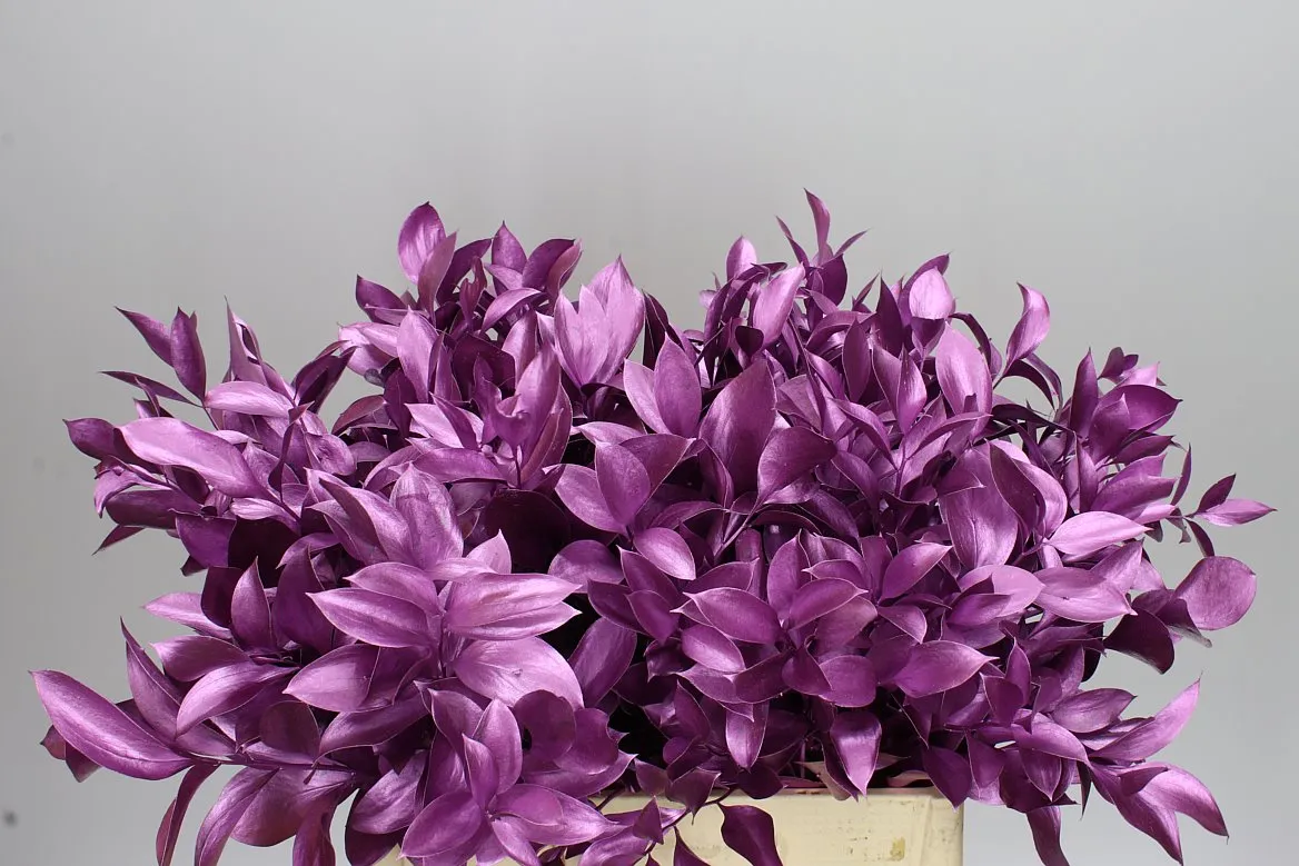 Ruskus farbený Metallic Cerise • 60 cm
