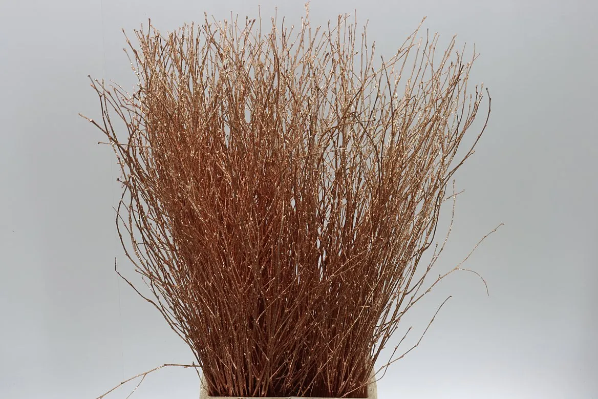 Breza Copper Glitter • 70 cm