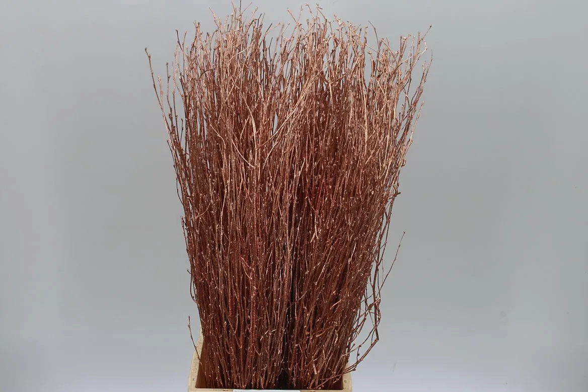 Breza Copper Glitter • 70 cm