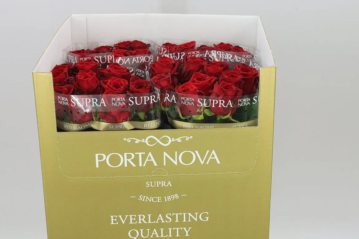 Rosa Gr Red Naomi Porta Supra • 60 cm