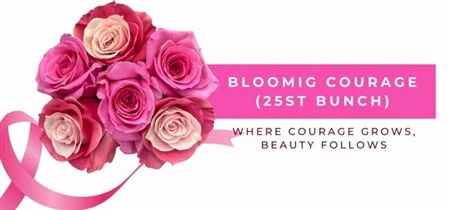 Ruža farbená Blooming Courage, Ekvádor • 50 cm