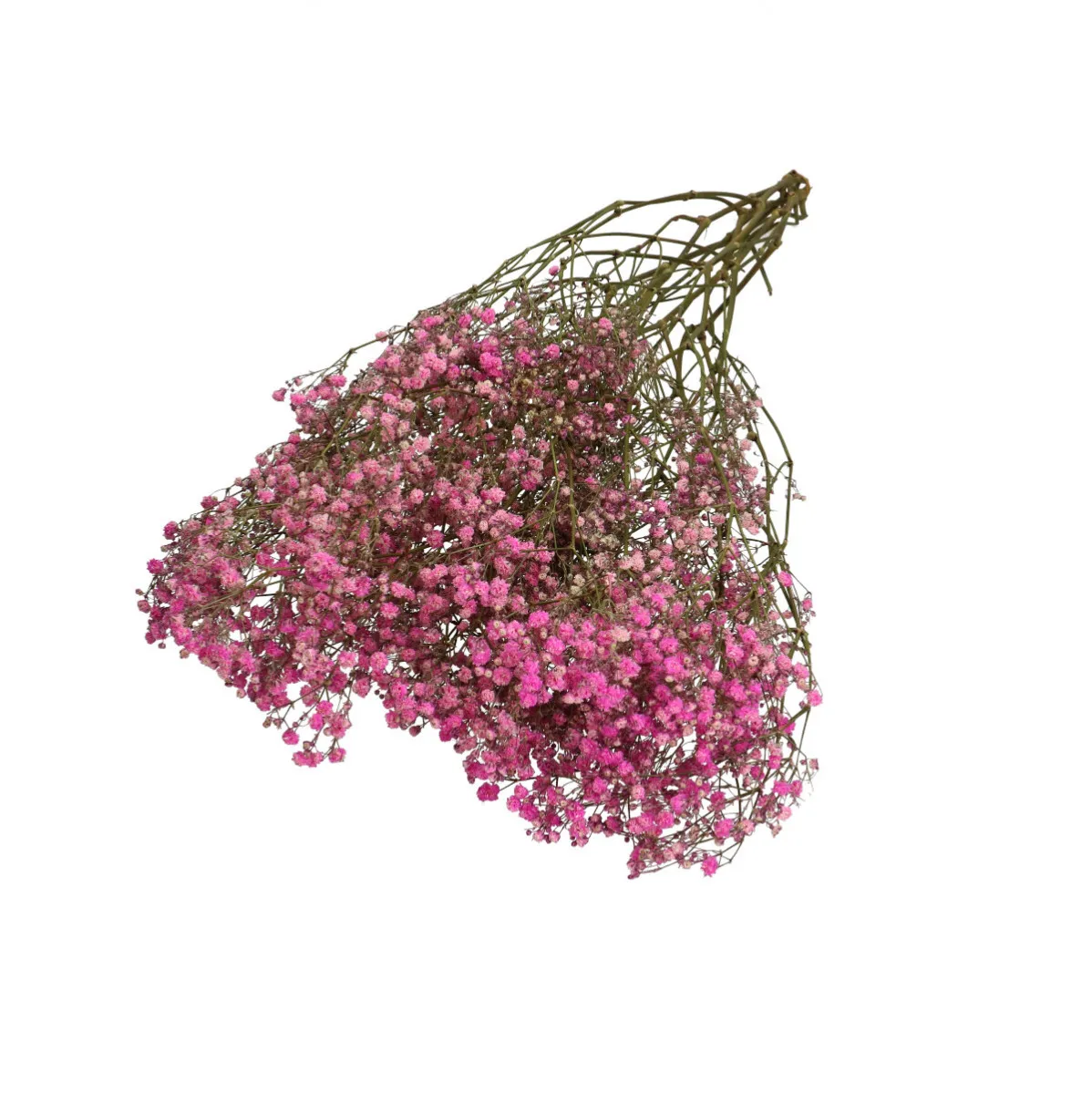 Sušená gypsomilka ružová 70 cm, 50 g