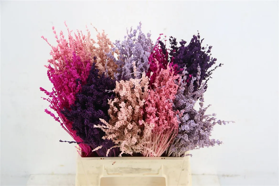 Lavendel Bs Pink mix, sušené • 40 cm