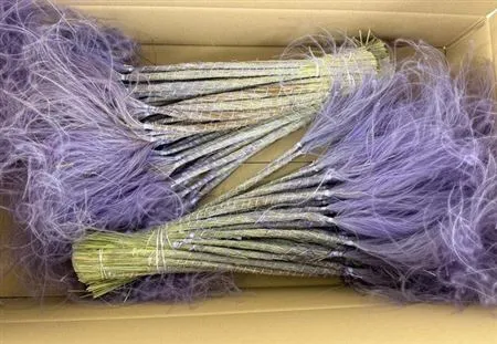Stypha Milka • 60 cm