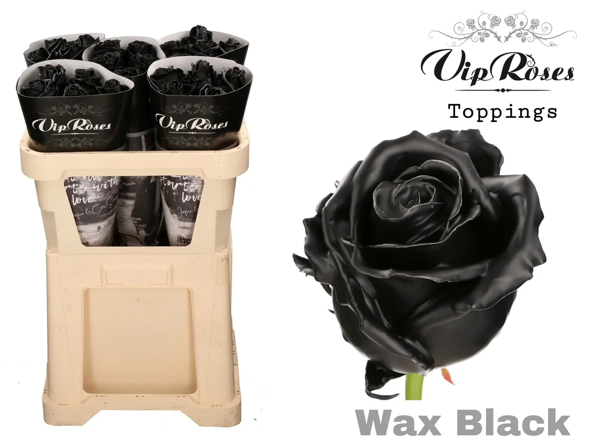 Ruža Wax Black X30 998 • 70 cm
