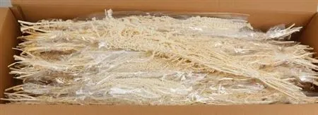 Amaranthus Bleached, sušené • 60 cm