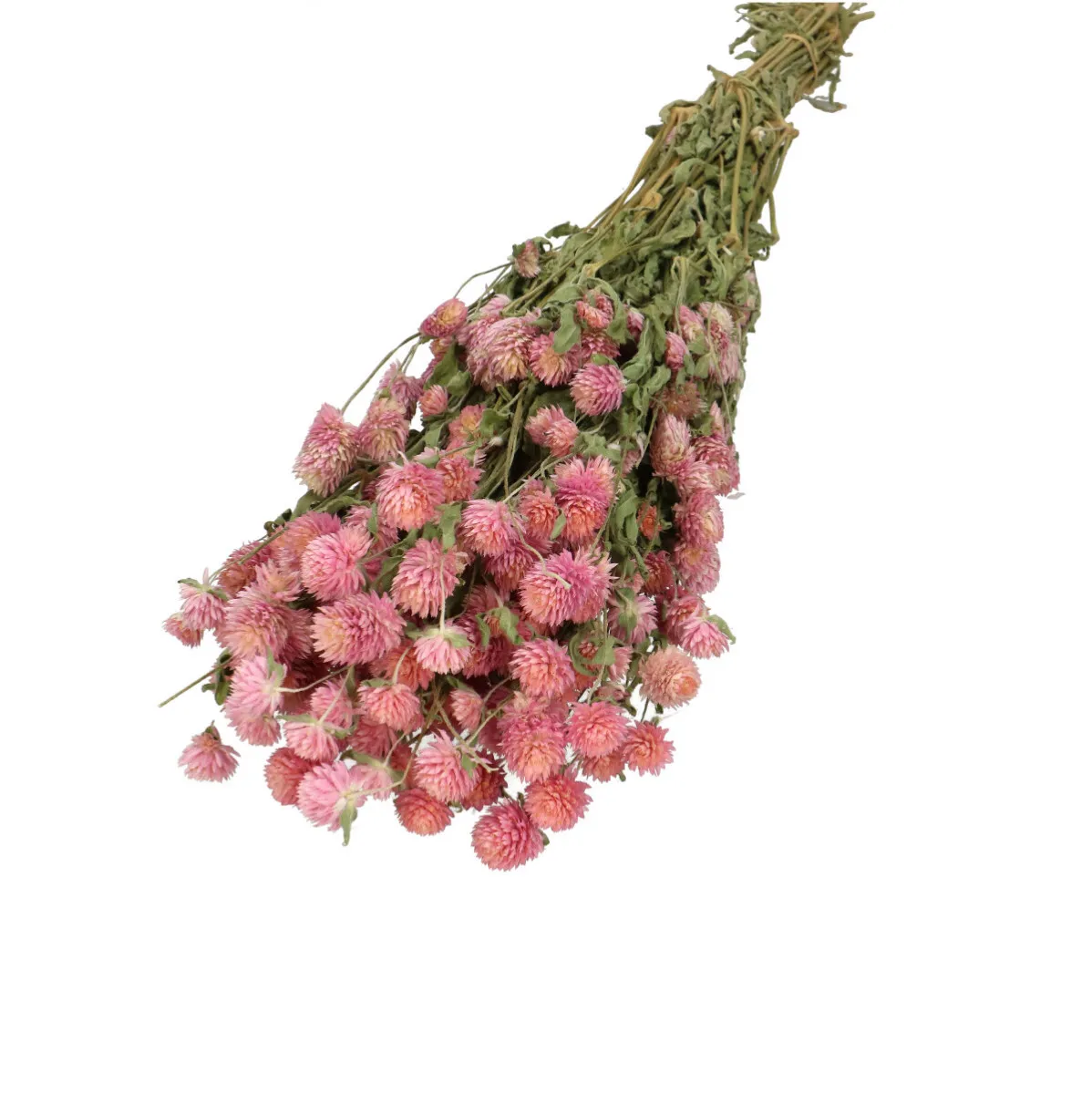 Sušená gomfréna ružová 65 cm, 125 g
