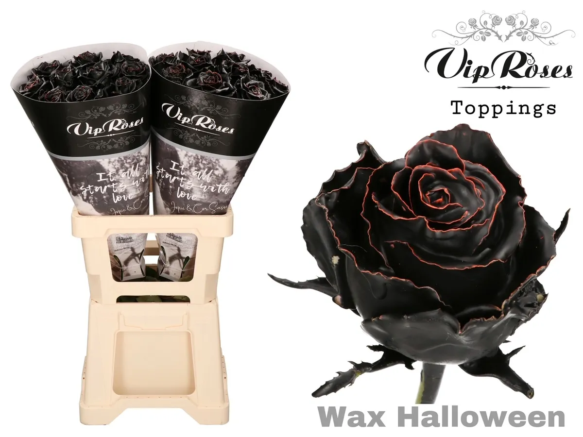 R Gr Wax Halloween X20 • 70 cm