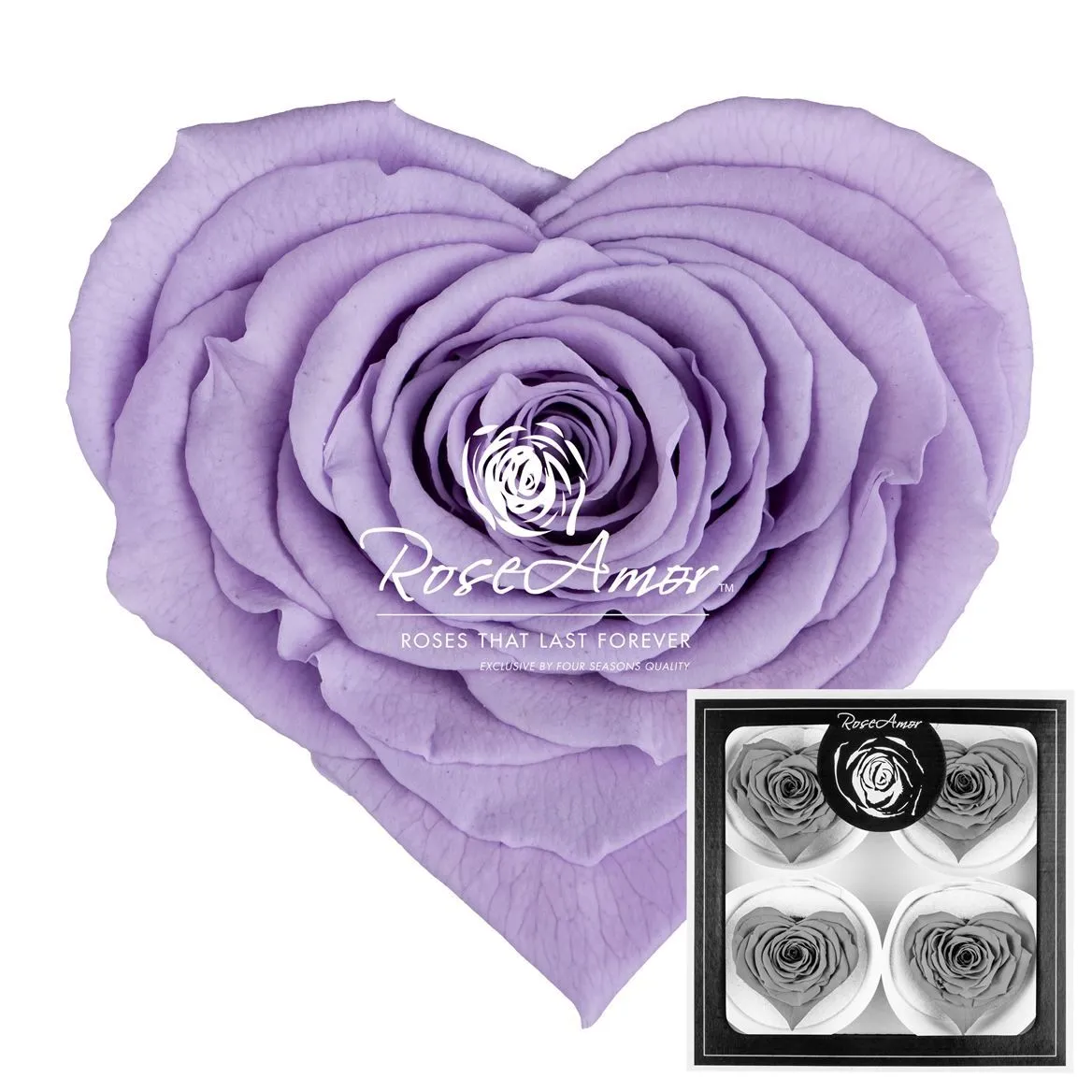 Stabilizovaná ruža v tvare srdca Corazon Bella ⌀ 7 cm, fialová VIO03