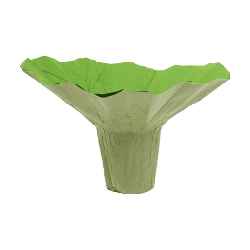 Kraftový držiak na kyticu Roset zelený ⌀ 23 cm
