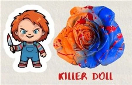 Ruža farbená Hw Killer Doll, Ekvádor • 50 cm