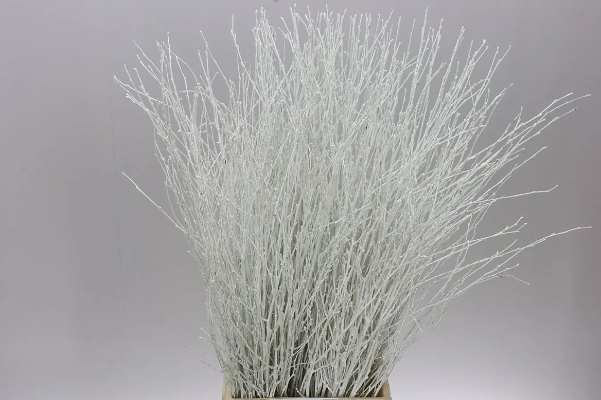 Breza White Glitter • 70 cm