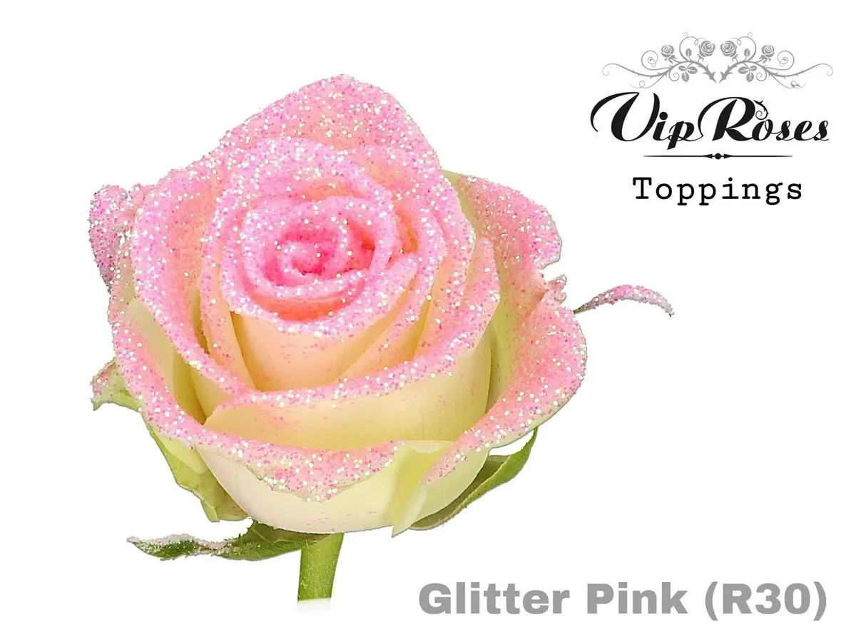 Ruža Glitter Pink R30 X20 • 70 cm