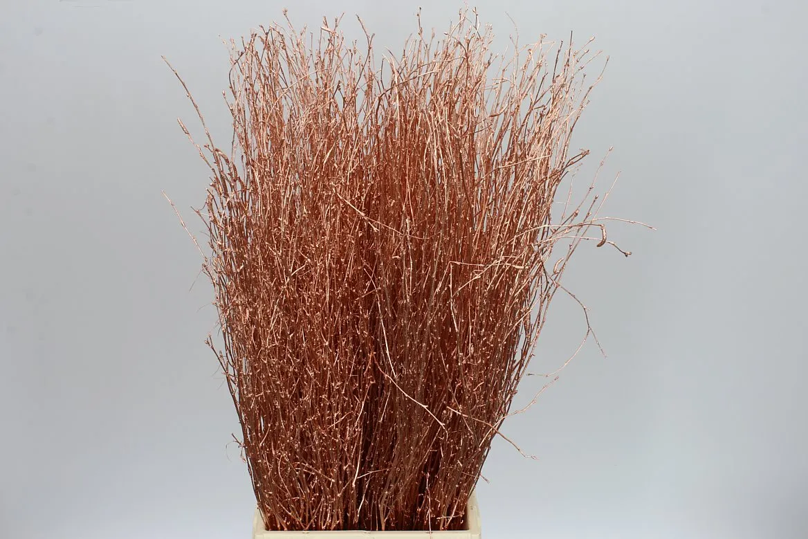 Breza Copper • 70 cm