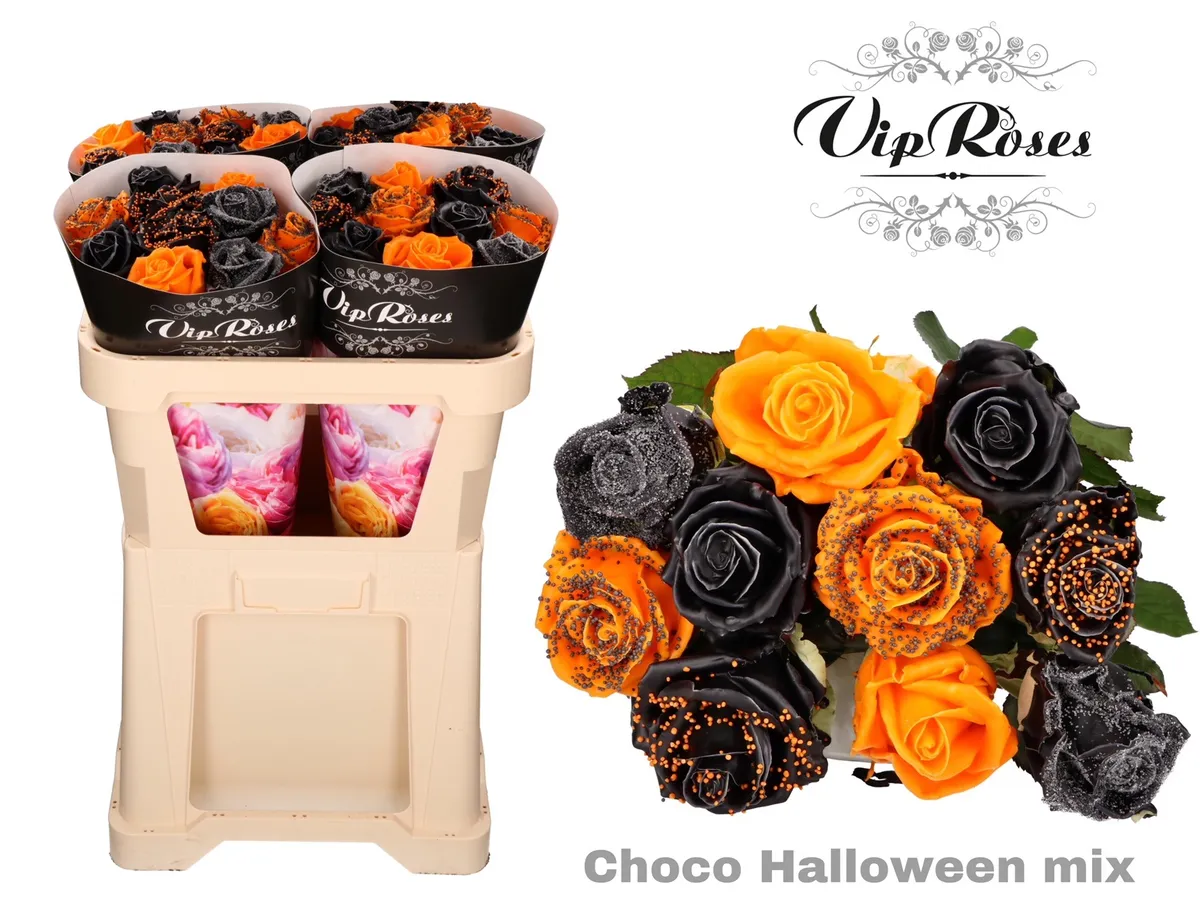 Ruža Choco Halloween mix (l 60cm) • 60 cm
