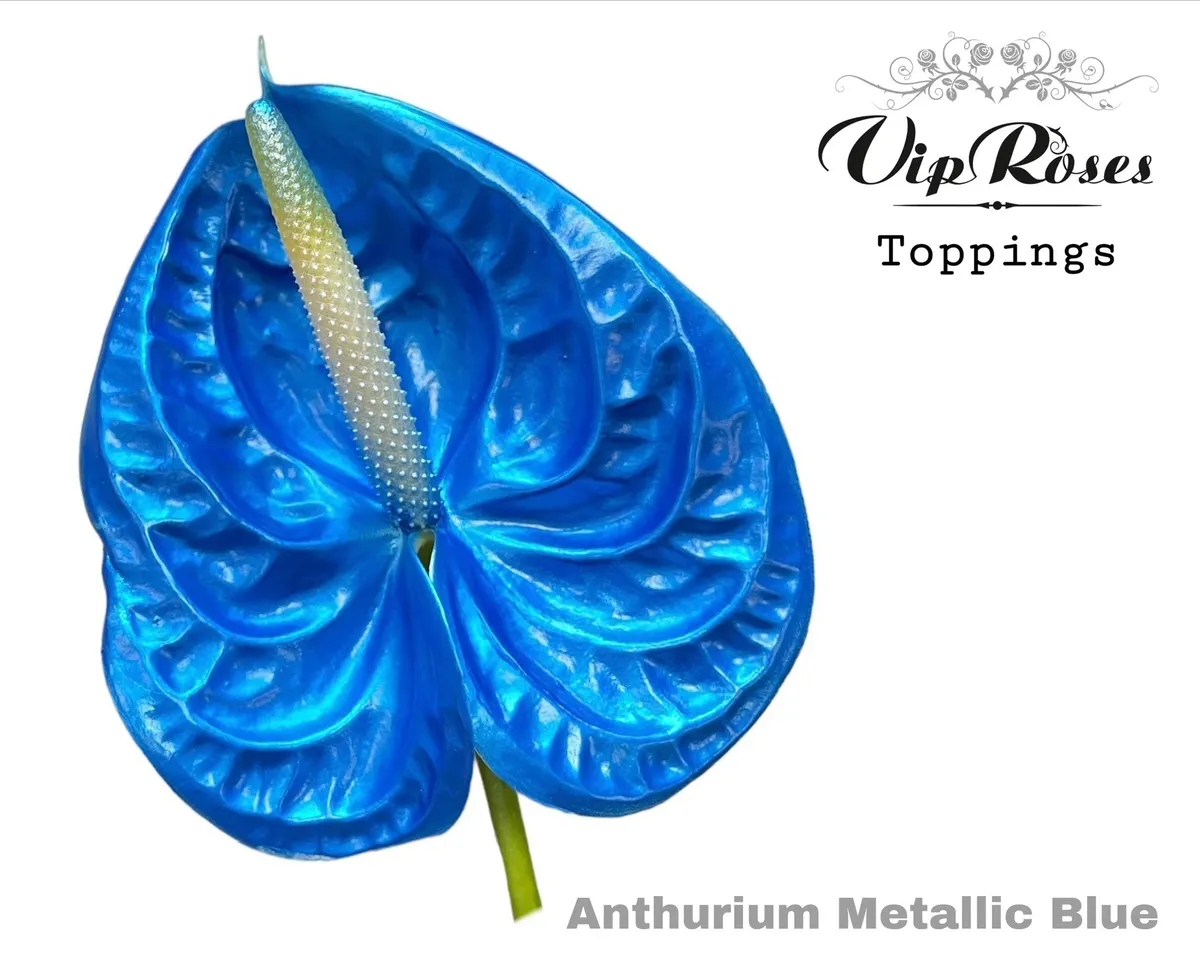 Ant A Metallic Blue • 50 cm