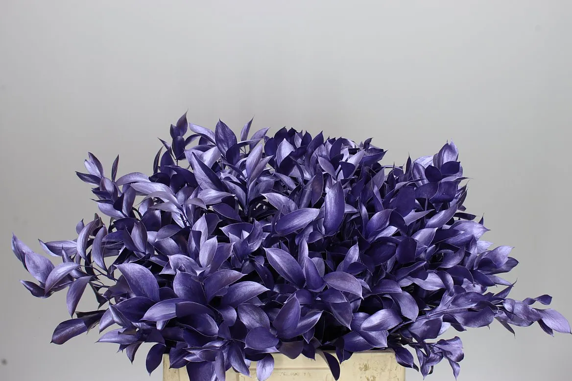 Ruskus farbený Metallic Purple • 60 cm