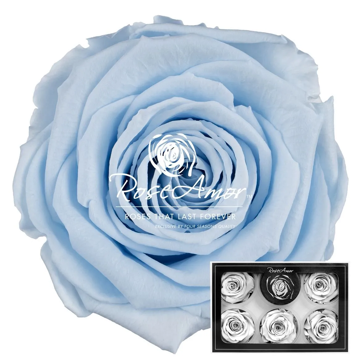Stabilizovaná ruža XL ⌀ 6 cm, modrá BLU89