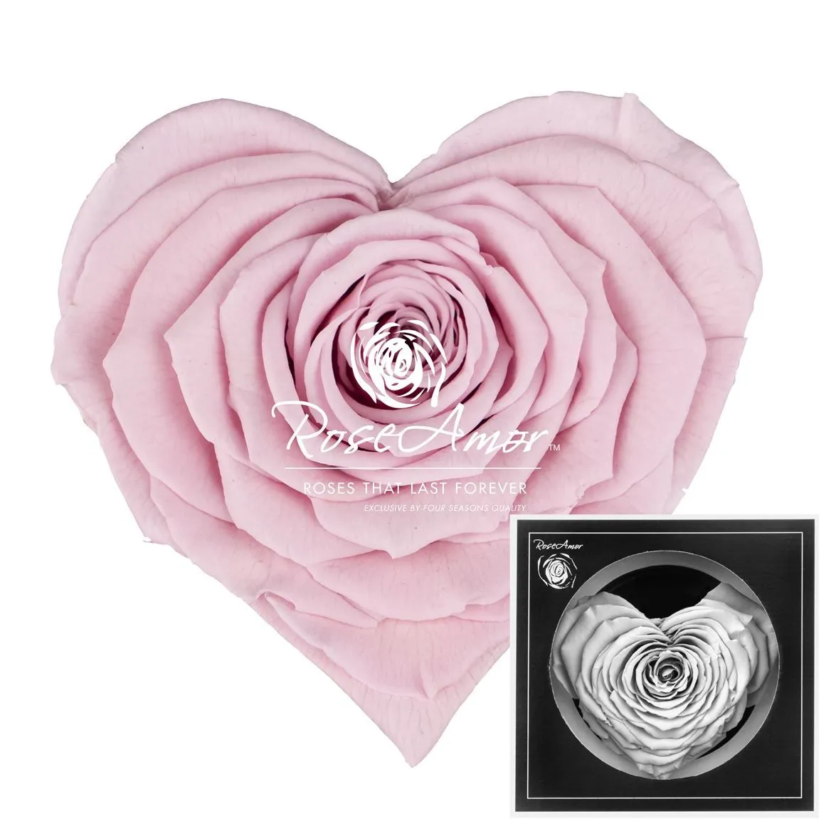 Stabilizovaná ruža v tvare srdca Corazon ⌀ 9 cm, ružová PIN04