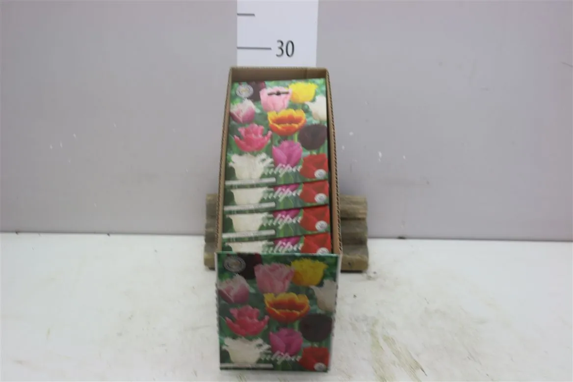 Bol Tulp Fringed mix X10