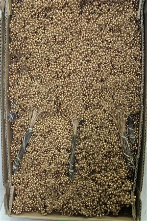 Pepperberries Gold, sušené