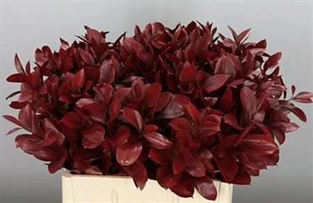 Ruskus farbený Burgundy + Glitter • 60 cm