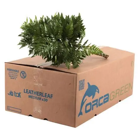Ledervaren Medium 45 cm