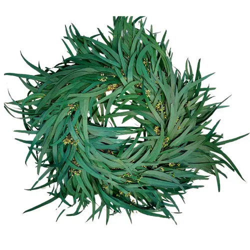 Stabilizovaný veniec z eukalyptu s bobuľami ⌀ 35 cm, zelený