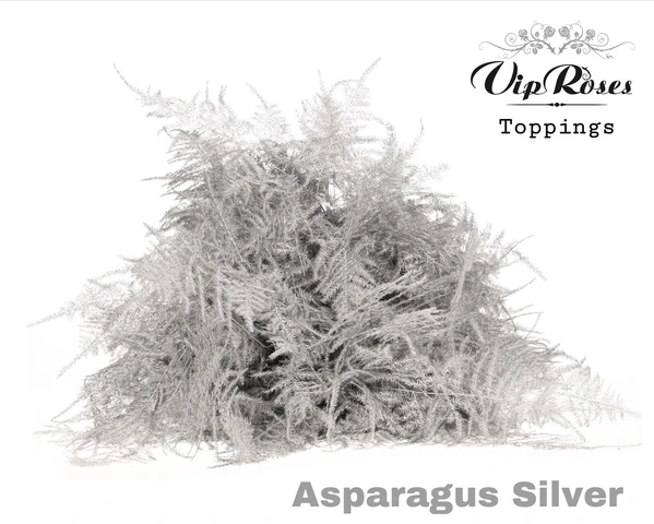 Asparágus Ov Extra Veren Silver 65 cm