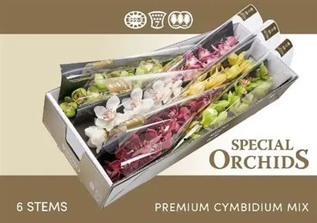Cymb Tak Mix 80 cm