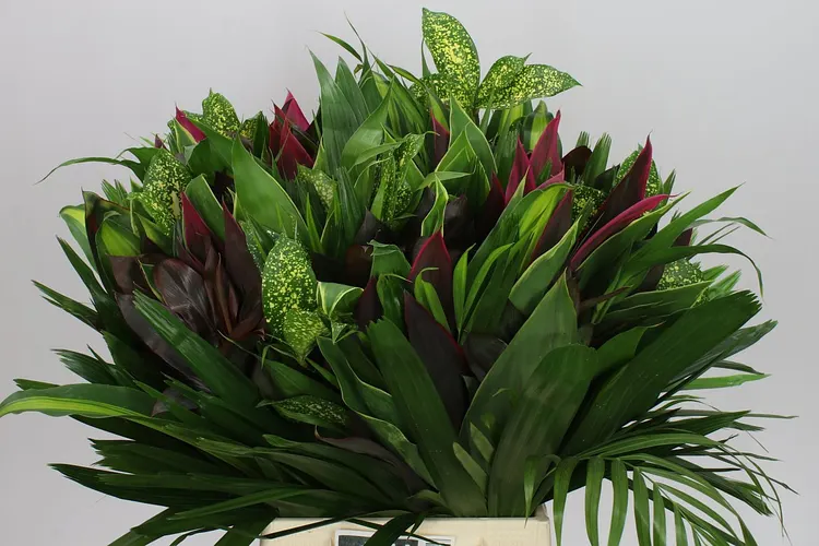 Bouquet Red Firework 60 cm