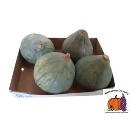 Cuc P 'blue Hubbard'