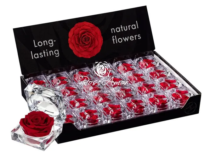 Pres. Display Jewel Red01