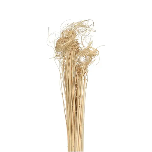 Sušený materiál Curly TingTing biela 70 cm