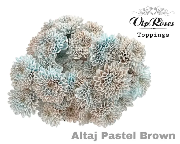 Chr T Altaj Pastel Brown 70 cm