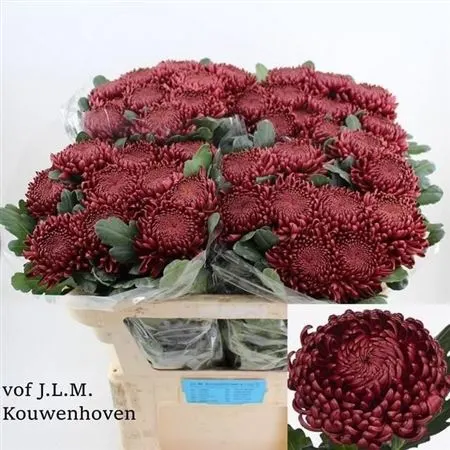 Chr G Bigoudi Red 70 cm