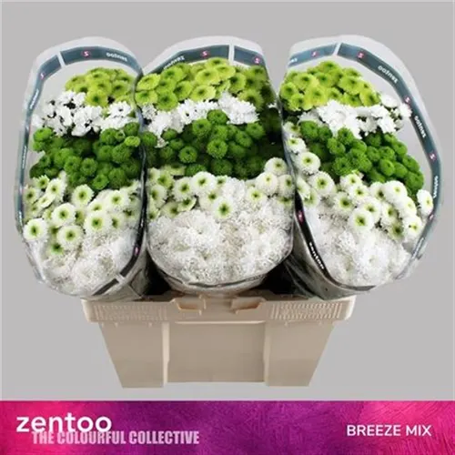 Sant Cold Mix 55 cm