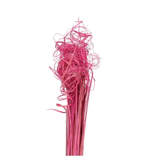 Sušený materiál Curly TingTing ružová 70 cm