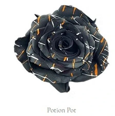 Ruža farbená Metallic Black, Ekvádor 50 cm