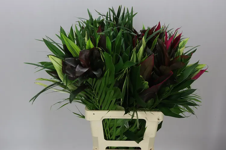 Bouquet 21 - Jungle Giant 70 cm