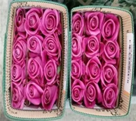 Rosa Gr Ec Soulmate 40 cm