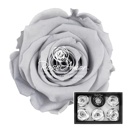 Stabilizovaná ruža XL ⌀ 6 cm, sivá GRY02