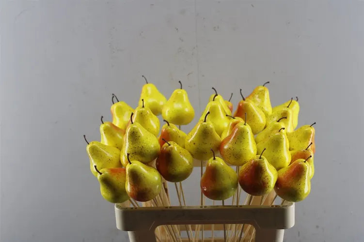 Pear Yellow/red, sušené 50 cm