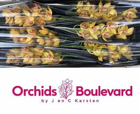 Orchidey (hlavný sklad)