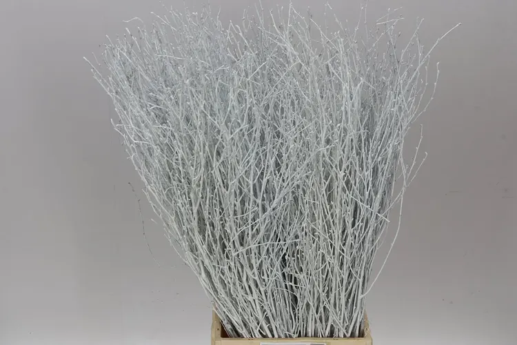 Berk White 70 cm