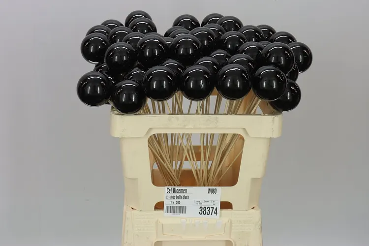 X-mas Balls Black 50 cm