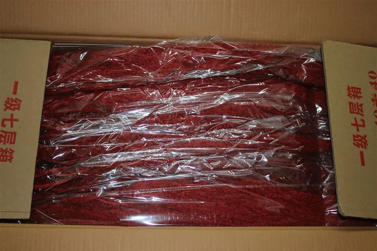 Dried Amaranthus Bordeaux 90 cm